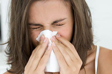 Allergy Hay Fever
