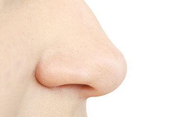 Nose and Sinus Disorders